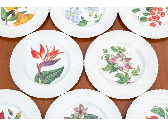 Set Of Eight Royal Cauldron “Flowers Of The Caribbean” Ironstone Botanic Plates